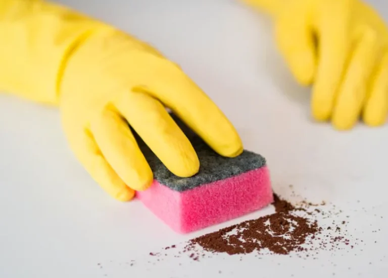 Surface Integrity and Clean Effect of Magic Eraser Compared to Cellulose Sponge