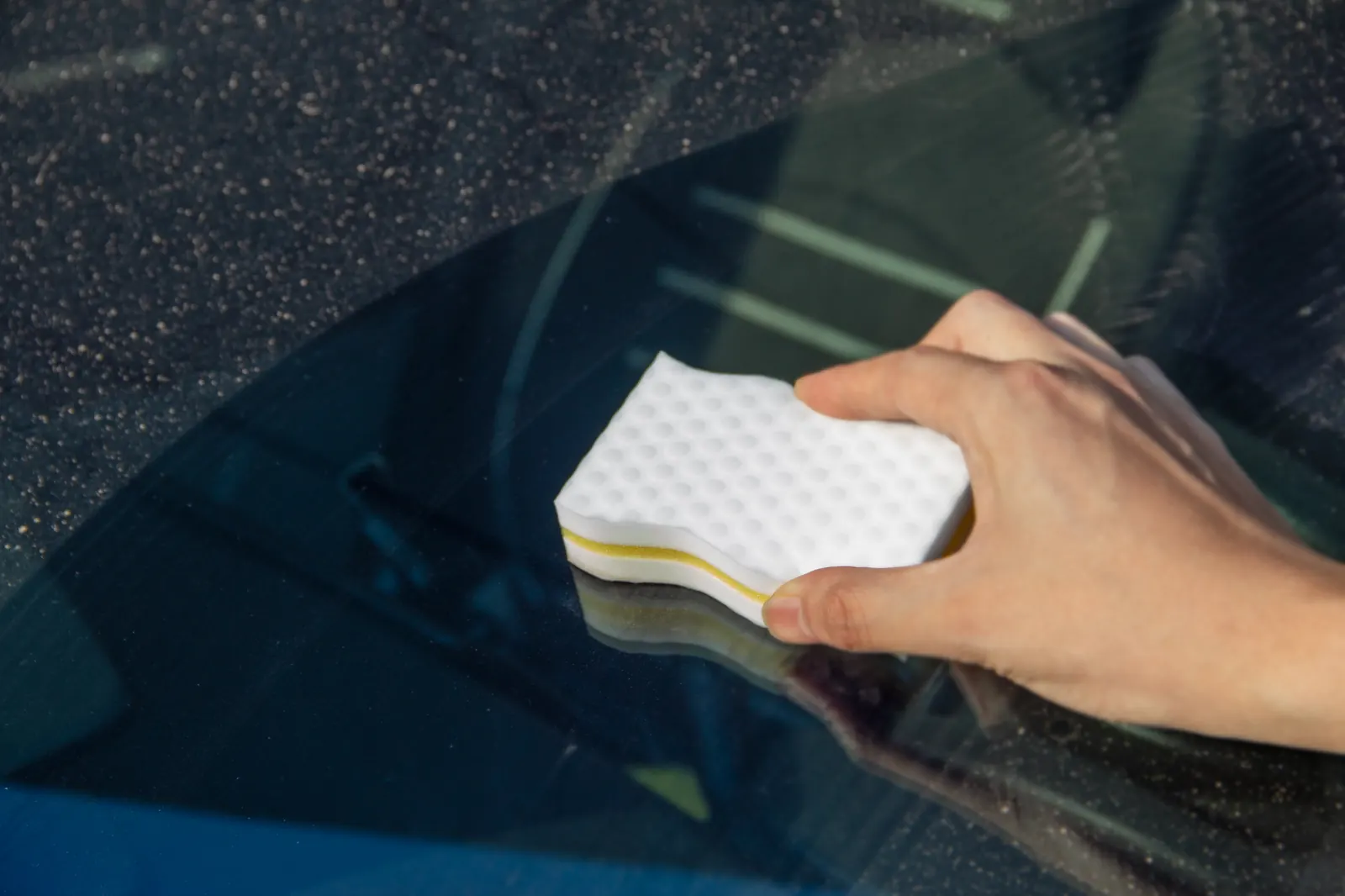 Cellulose Sponges category